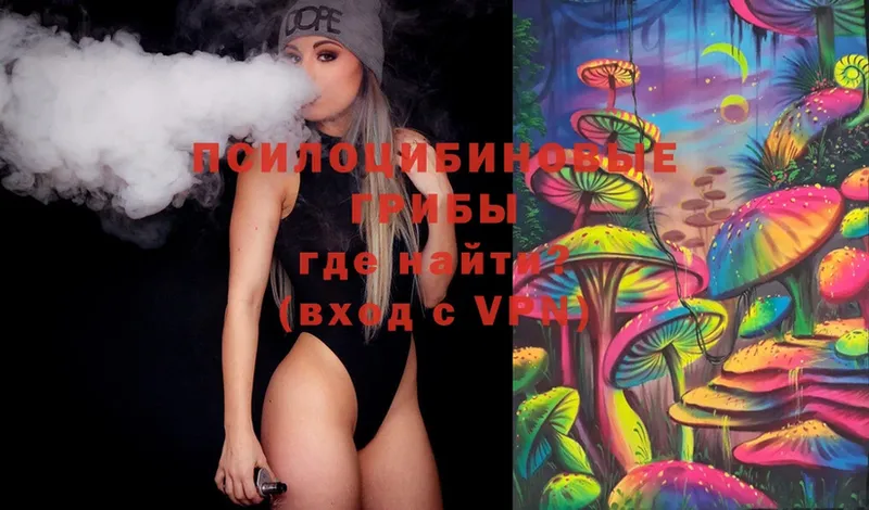 Псилоцибиновые грибы Magic Shrooms  Будённовск 